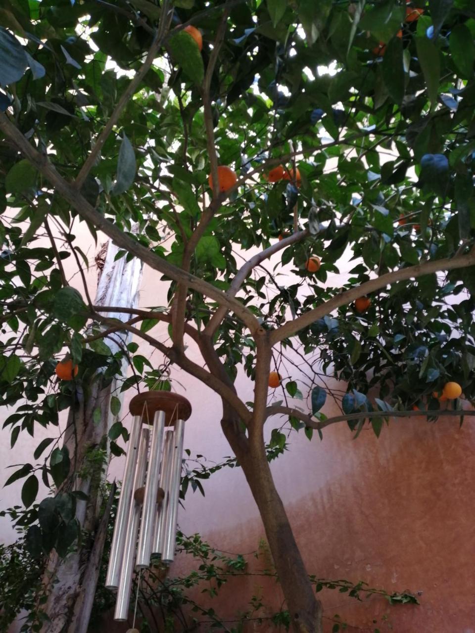 לינה וארוחת בוקר Les Bains De Fez Tara מראה חיצוני תמונה